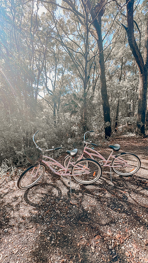 森の中で自転車散策を楽しむ休日