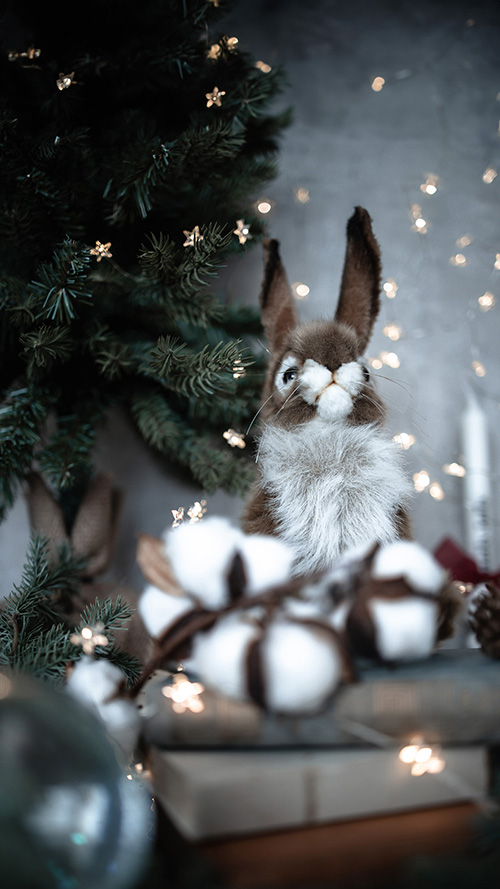 クリスマスイルミネーションの中で佇むうさぎ