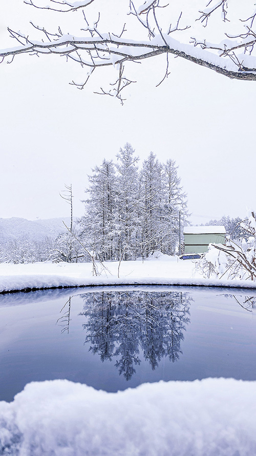 雪の中、湖面に映る木々