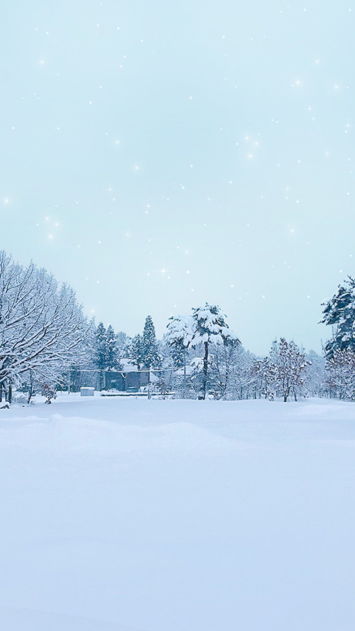 TikTok/YouTubeショートの背景にも使えるおしゃれな画像：とても寒そうな森の雪景色