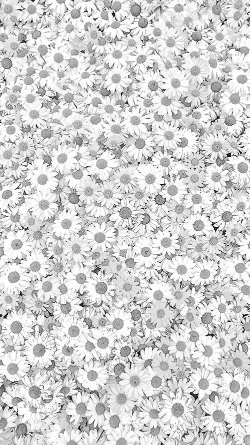 無料のおしゃれな縦長画像：画面いっぱいに敷き詰められた鮮やかな黄色い小花畑（白黒版）